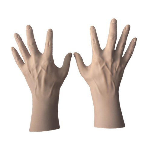 2pcs hand model jewelry - 2pcs,