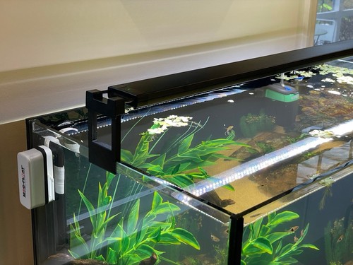 Fluval plant 0 - plant, light