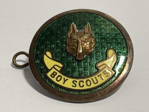 Vintage boy scouts - boy, wolf
