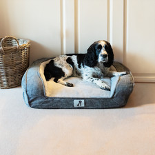 AllPetSolutions Duke Luxury High Density Foam Sofa Dog Bed Grey Large