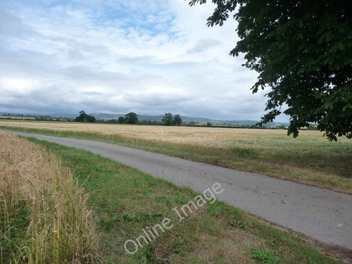 Photo 6x4 the track - photo,