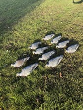 Sport Plast Pigeon Shooting Decoy Half Shell (Made In Italy) Set Of Ten 10