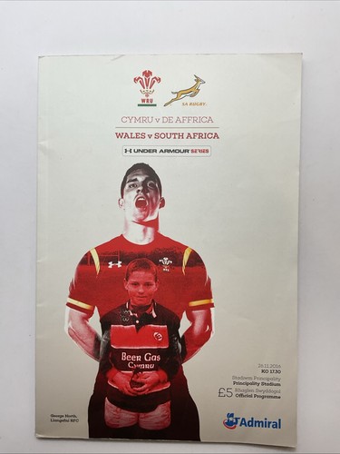 Wales south africa - v,