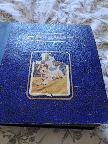 Old postcard album plus - old,