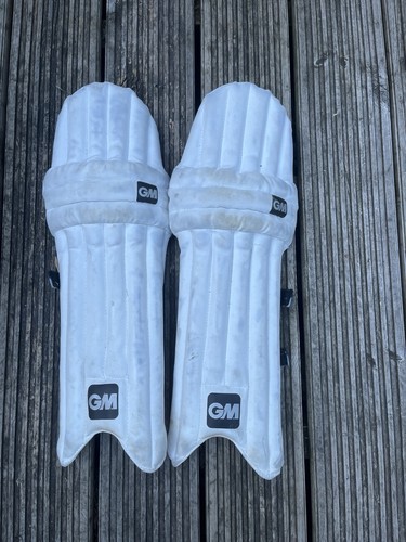 Junior cricket pads - gm,
