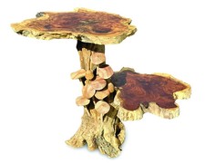 Driftwood Mushroom Colony Lamp