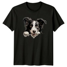 Cute Border Collie Dog