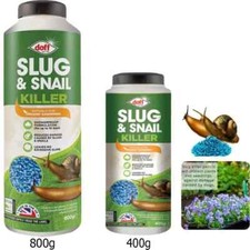 Slug and snail - slug,