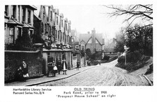 PAMLIN PRINTS POSTCARD OLD