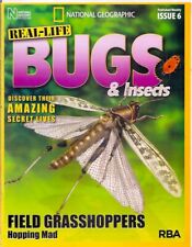 real-life bugs &