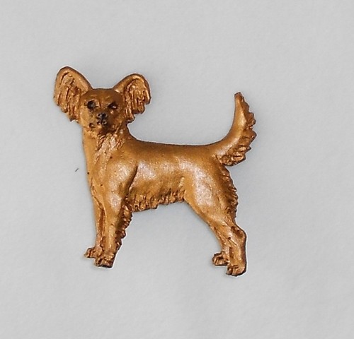 Russian toy terrier - rare, dog