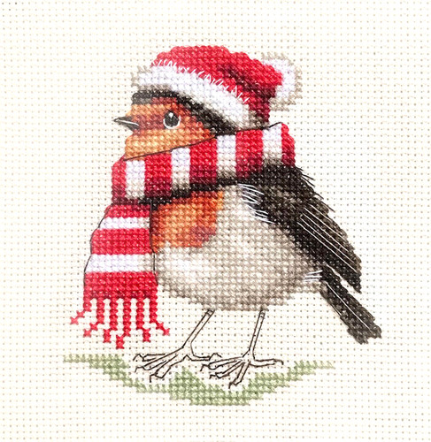 Winter robin redbreast in - winter,