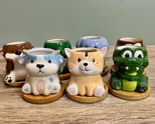 Animal succulent plant pots - succulent,