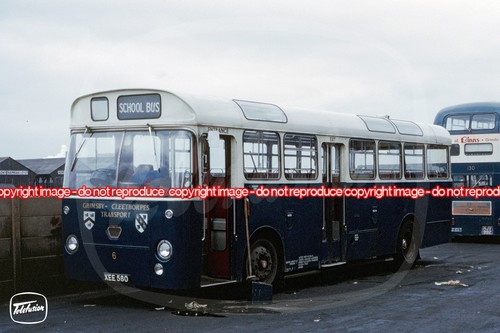 Bus photo grimsby - bus,