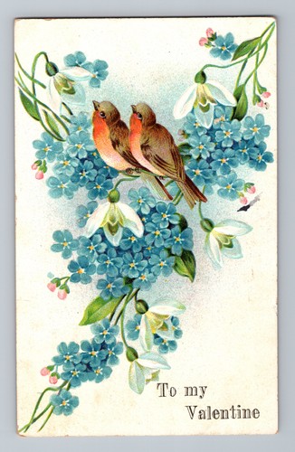 Robins perched - robins,