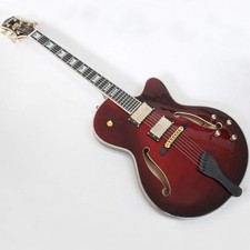 Musoo Hollow body custom Jazz