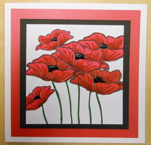 Emily poppy small unmounted - poppy,