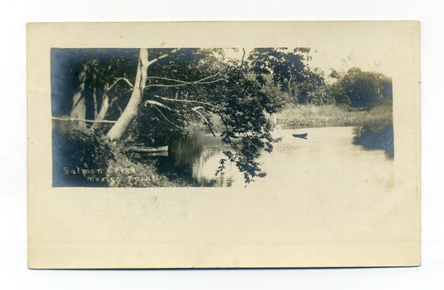 Mexico point salmon creek - mexico,