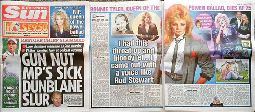 Bonnie tyler cover - cover, tribute