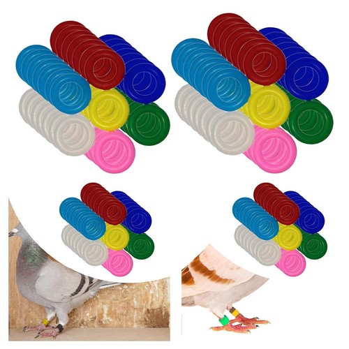 100x bird foot rings - rings, leg