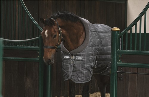 Rhino original stable - rhino,