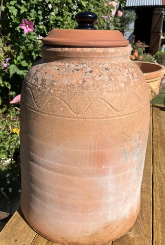 Vintage terracotta rhubarb - vintage,
