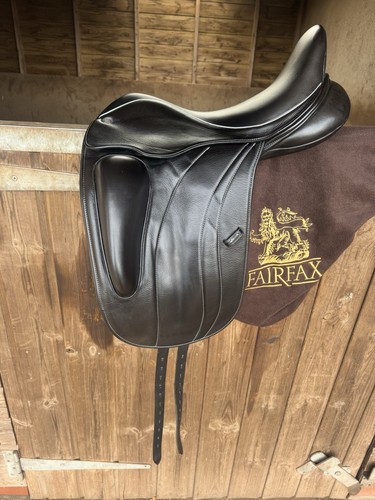 Fairfax rebecca dressage - fairfax,