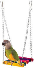 � 5Pcs Pet Bird Parrot