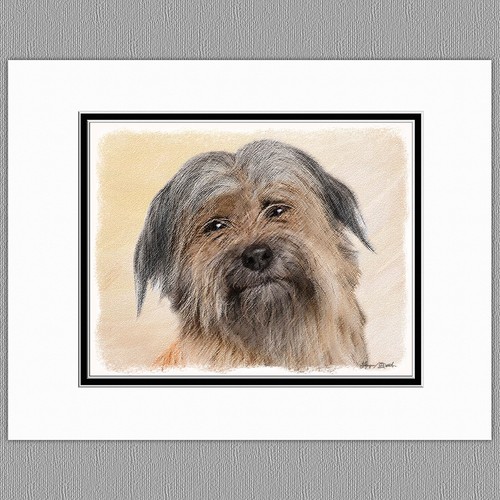 Pyrenean shepherd dog original - pyrenean,