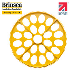 Maxi Incubator Medium Egg