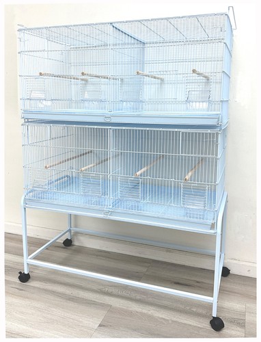 Large lot breeding flights - lot-2,
