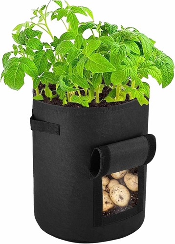 Plant grow bags - grow, fruit