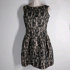 Zara M Nude Black Lace Look