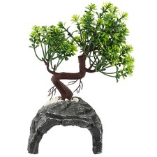  Reptile Tank Turtle Large