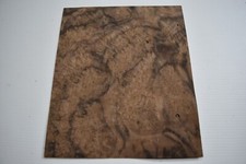 Walnut Burr / Burl - REAL WOOD
