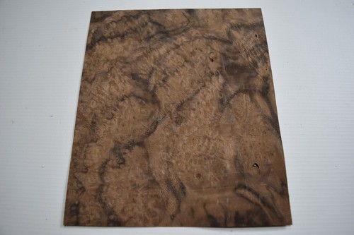 Walnut burr burl real wood - -,