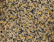 20KG CANARY MIXED SEED with