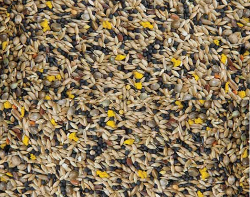 20kg canary mixed seed - 20kg,