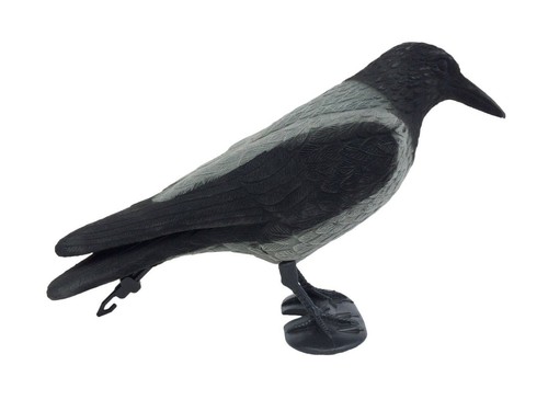 Hooded crow flocked full body - flocked,