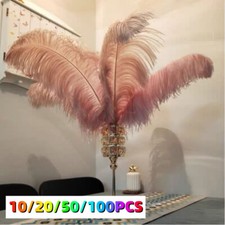 10-100× Large Ostrich Feathers For Wedding Xmas Party Costume Decoration 25-30cm