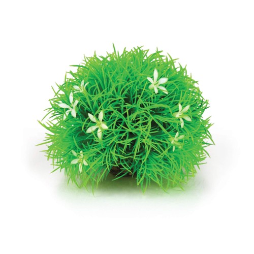 Flower ball topiary with - topiary,