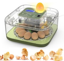 12-Egg Incubator with