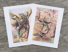 Pair Antique 1910 Wall Lizards