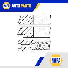 Piston Rings Kit (Single