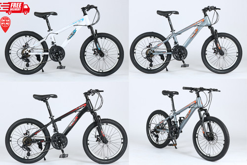 Unisex bike adult - 20",
