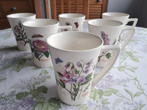Portmeirion botanical - 6,