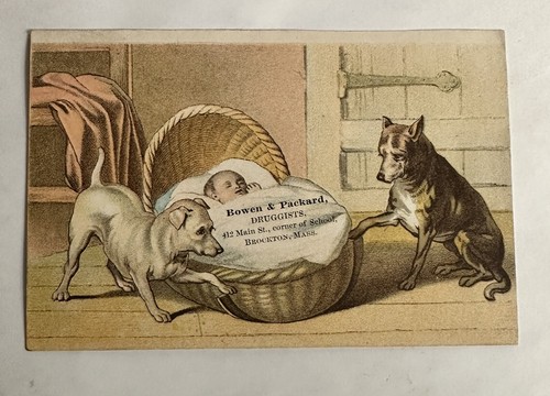 Victorian trade card - bowen, &