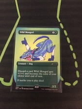 MTG Magic the Gathering Wild