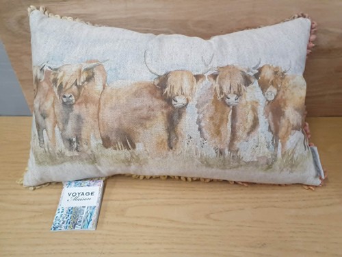 Voyage maison highland - highland, cow