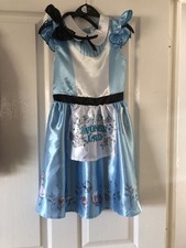 Alice In Wonderland Costume